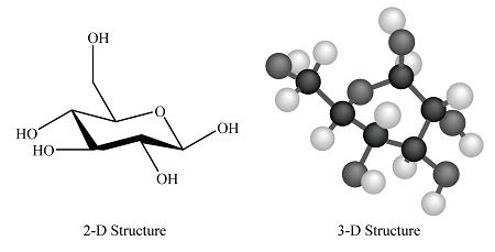 Draw Two And Three Dimensional Structures Of Carbohydrates Proteins Draw Two And Three Dimensional Structures Of Carbohydrates Proteins